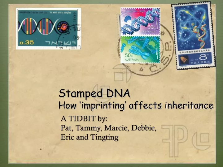stamped dna how imprinting affects inheritance