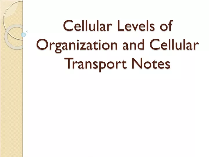 cellular levels of organization and cellular transport notes