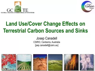 Land Use/Cover Change Effects on  Terrestrial Carbon Sources and Sinks