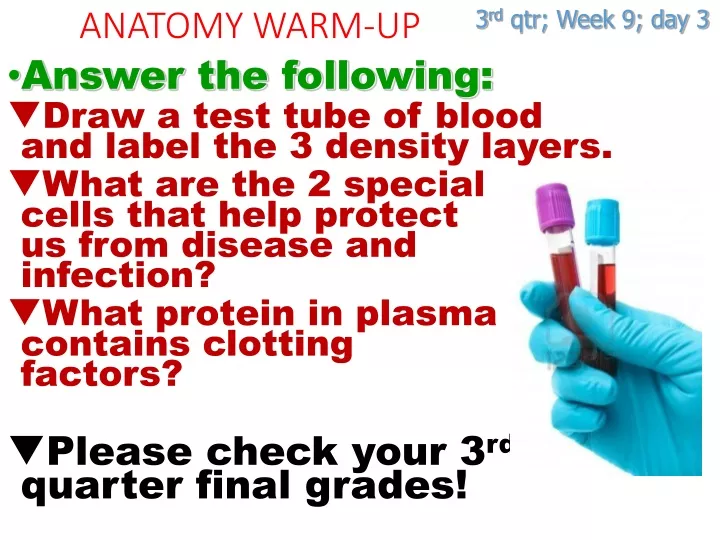 anatomy warm up