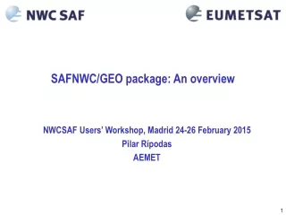 SAFNWC/GEO package: An overview