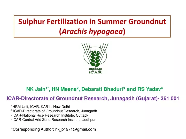 sulphur fertilization in summer groundnut arachis