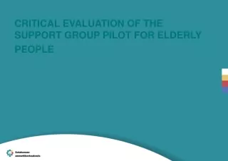 CRITICAL EVALUATION OF THE SUPPORT GROUP PILOT FOR ELDERLY PEOPLE
