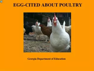 EGG-CITED ABOUT POULTRY