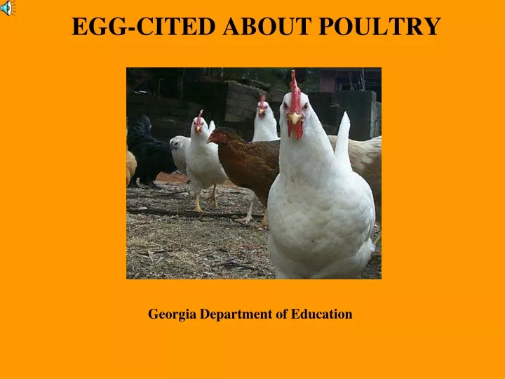 egg cited about poultry