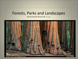 Forests, Parks and Landscapes   Environmental Science AP   Ben Smith