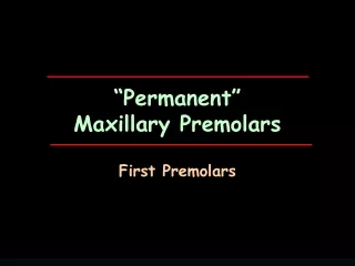 “Permanent” Maxillary Premolars