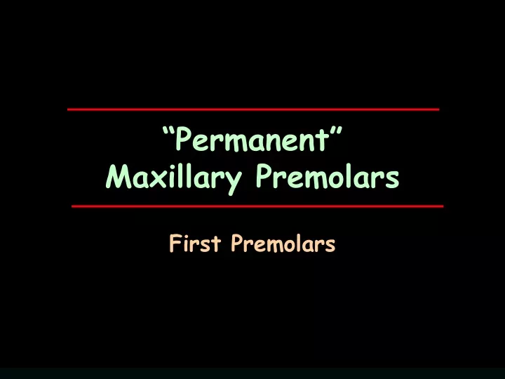 permanent maxillary premolars