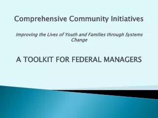 Comprehensive Community Initiatives