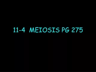 11-4  MEIOSIS PG 275