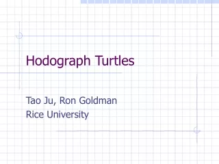 Hodograph Turtles