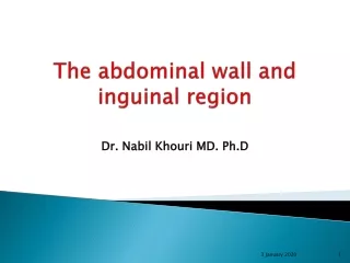 The abdominal wall and inguinal region