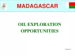 OIL EXPLORATION  OPPORTUNITIES