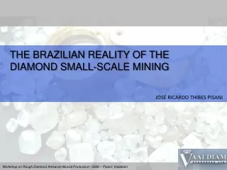 THE BRAZILIAN REALITY OF THE DIAMOND SMALL-SCALE MINING