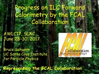 Progress on ILC Forward Calorimetry by the FCAL Collaboration  AWLC17, SLAC June 26-30, 2017