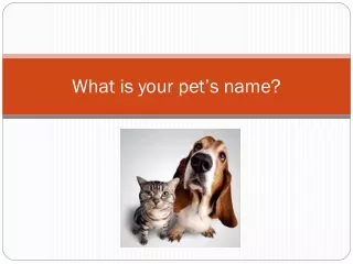 What is your pet’s name?