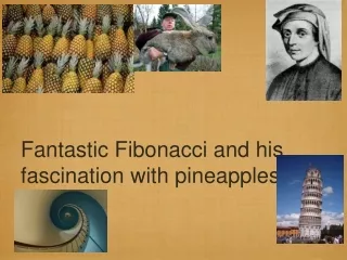 Fantastic Fibonacci and his fascination with pineapples...