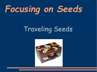 Focusing on Seeds