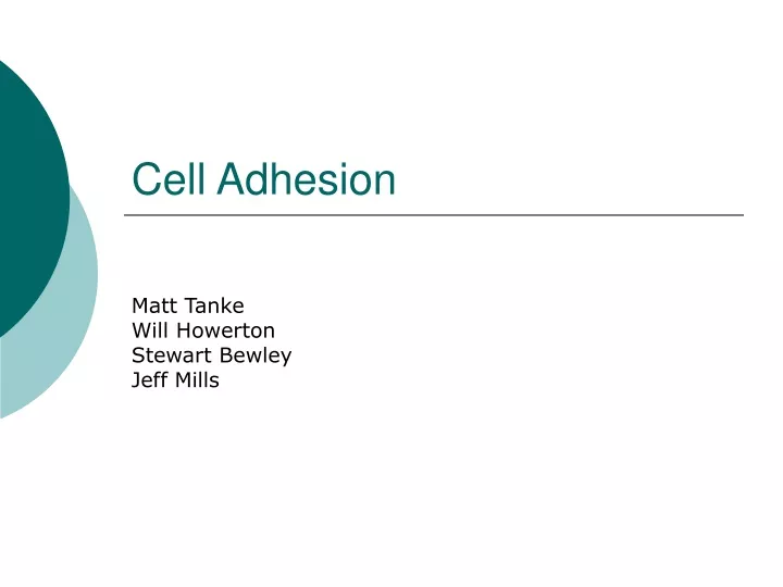 cell adhesion