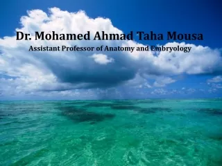 Dr. Mohamed Ahmad Taha Mousa  Assistant Professor of Anatomy and Embryology
