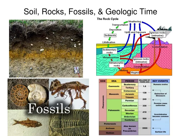 soil rocks fossils geologic time