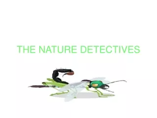 THE NATURE DETECTIVES