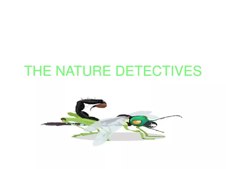 the nature detectives