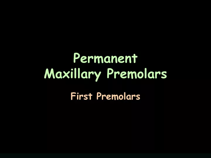 permanent maxillary premolars
