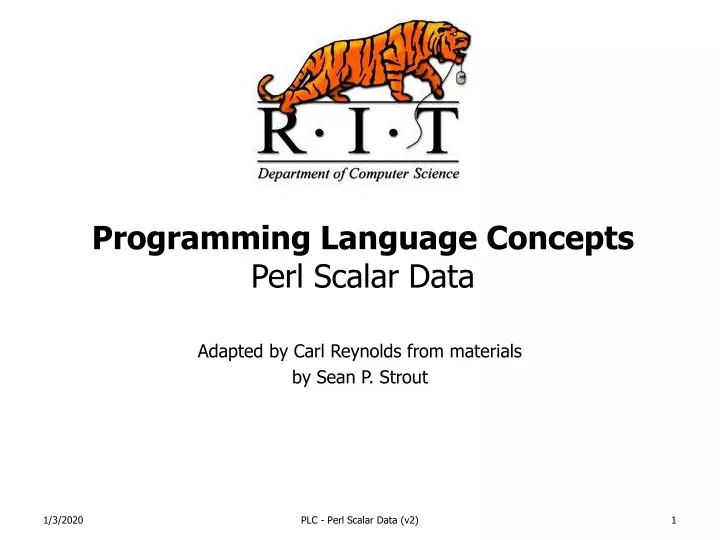 programming language concepts perl scalar data