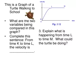 This is a Graph of a Turtle Walking to School