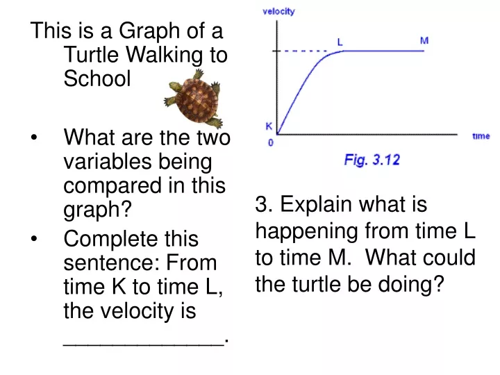 this is a graph of a turtle walking to school