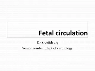 Fetal circulation