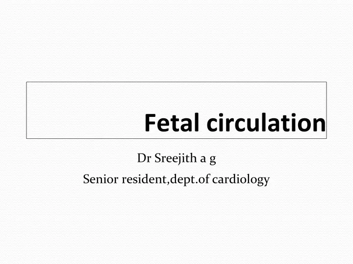 fetal circulation