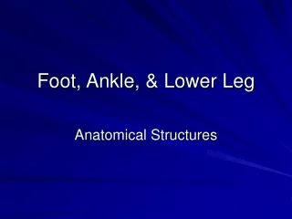 Foot, Ankle, &amp; Lower Leg