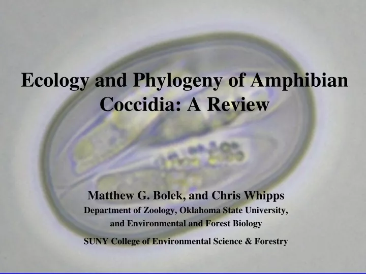 ecology and phylogeny of amphibian coccidia a review