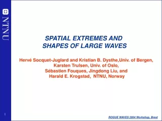 Hervé Socquet-Juglard and Kristian B. Dysthe , Univ .  of Bergen,