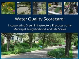 Water Quality Scorecard: