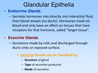 Glandular Epithelia