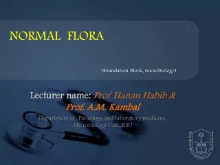 Lecturer name:  Prof  Hanan Habib  &amp;       Prof. A.M. Kambal