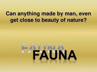 FAUNA