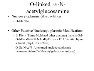 O-linked  b -N-acetylglucosamine
