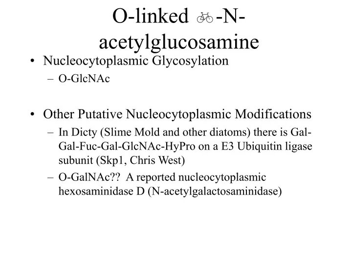 o linked b n acetylglucosamine