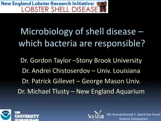 Microbiology of shell disease – which bacteria are responsible?