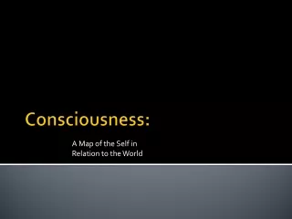 Consciousness: