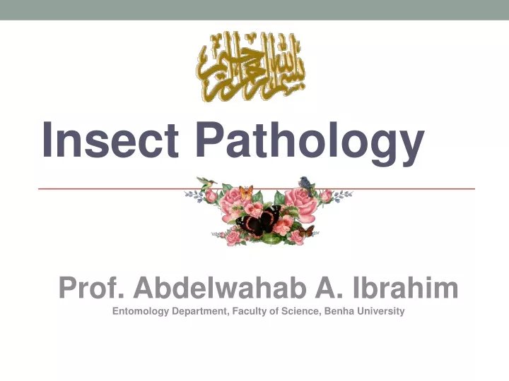 insect pathology