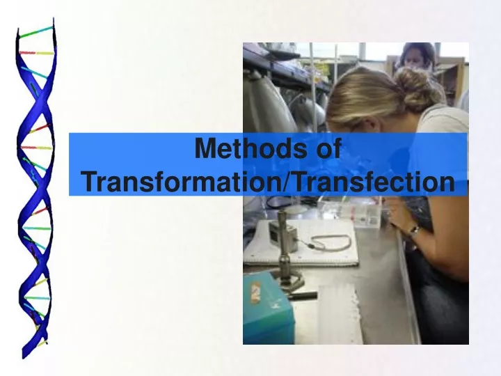 methods of transformation transfection
