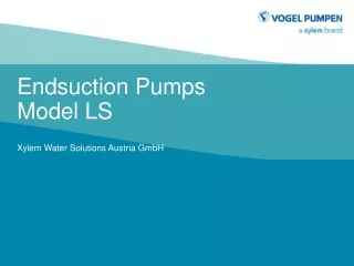 Endsuction Pumps Model LS