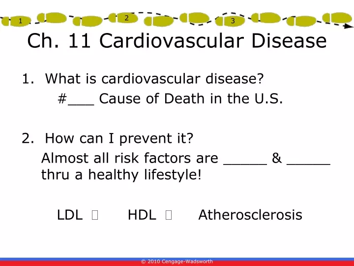 ch 11 cardiovascular disease
