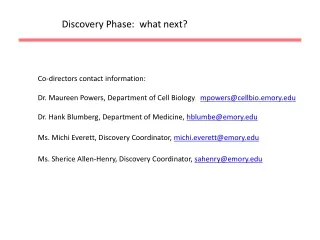 Discovery Phase:  what next?