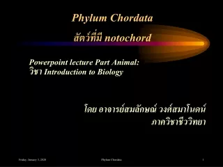 Phylum Chordata สัตว์ที่มี notochord